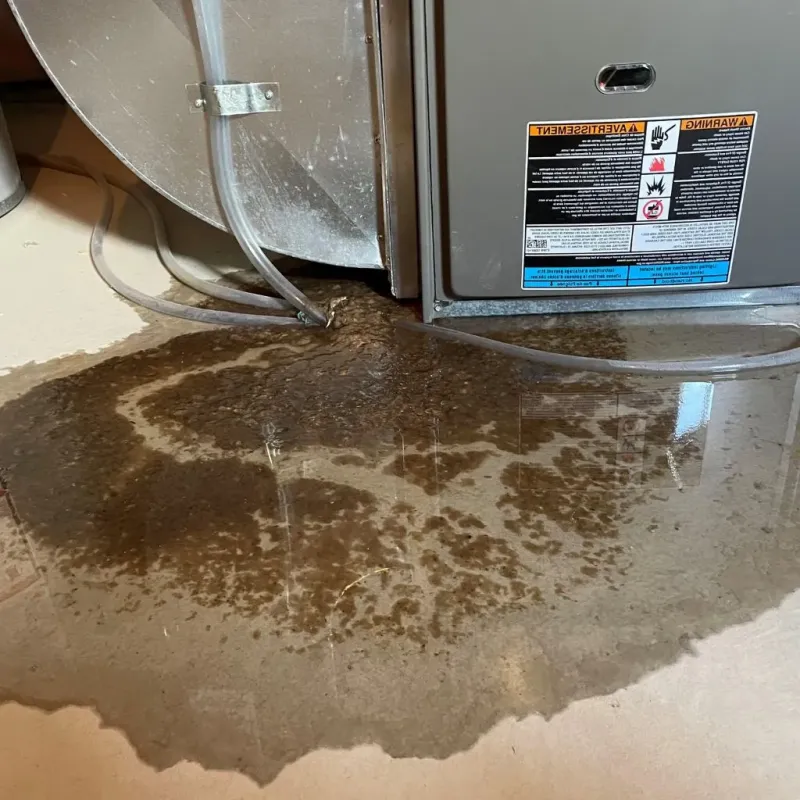 Pipe Burst and Leak Restoration in Oak Leaf, TX