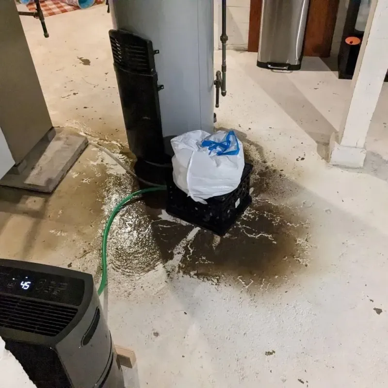 Sewage Backup Cleanup Service in Oak Leaf, TX